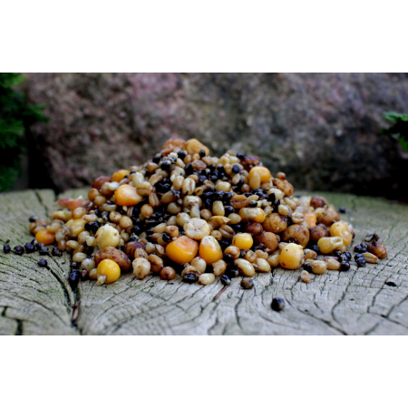 ZIARNA preparowane PARTICLE MIX 3 Litry
